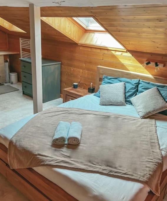 Villa De Charme En Haute-Savoie Clarafond-Arcine 外观 照片