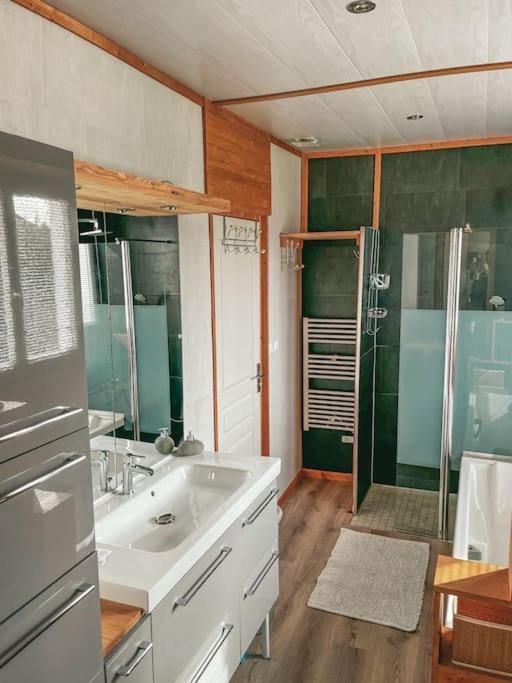 Villa De Charme En Haute-Savoie Clarafond-Arcine 外观 照片